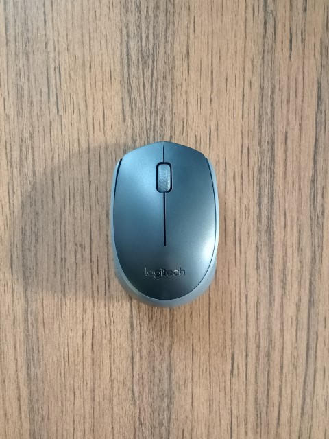 logitech m170